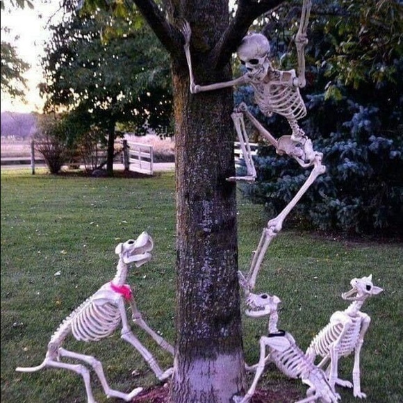 Meet your Posher, Kimberly - Picture 4 of 5